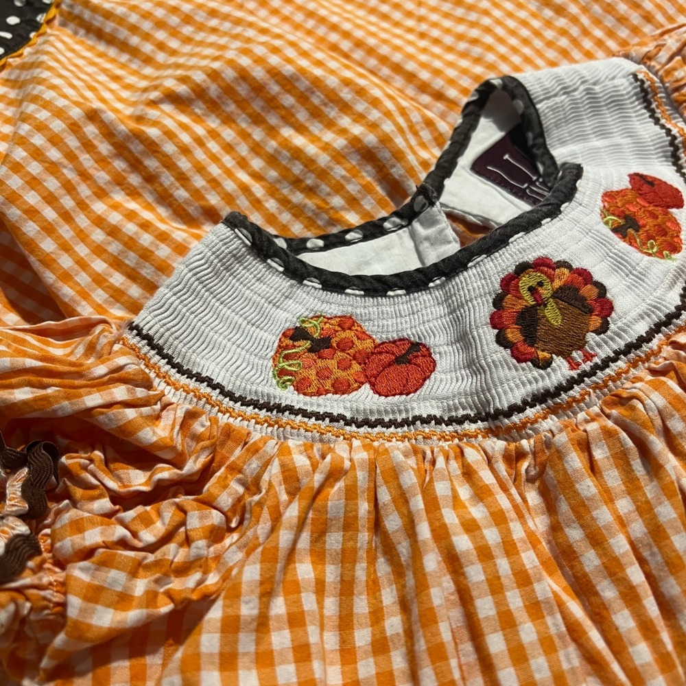 Lil Cactus Girls 4T Thanksgiving Turkey Smocked Gingham Dress Orange Brown - Picture 6 of 7
